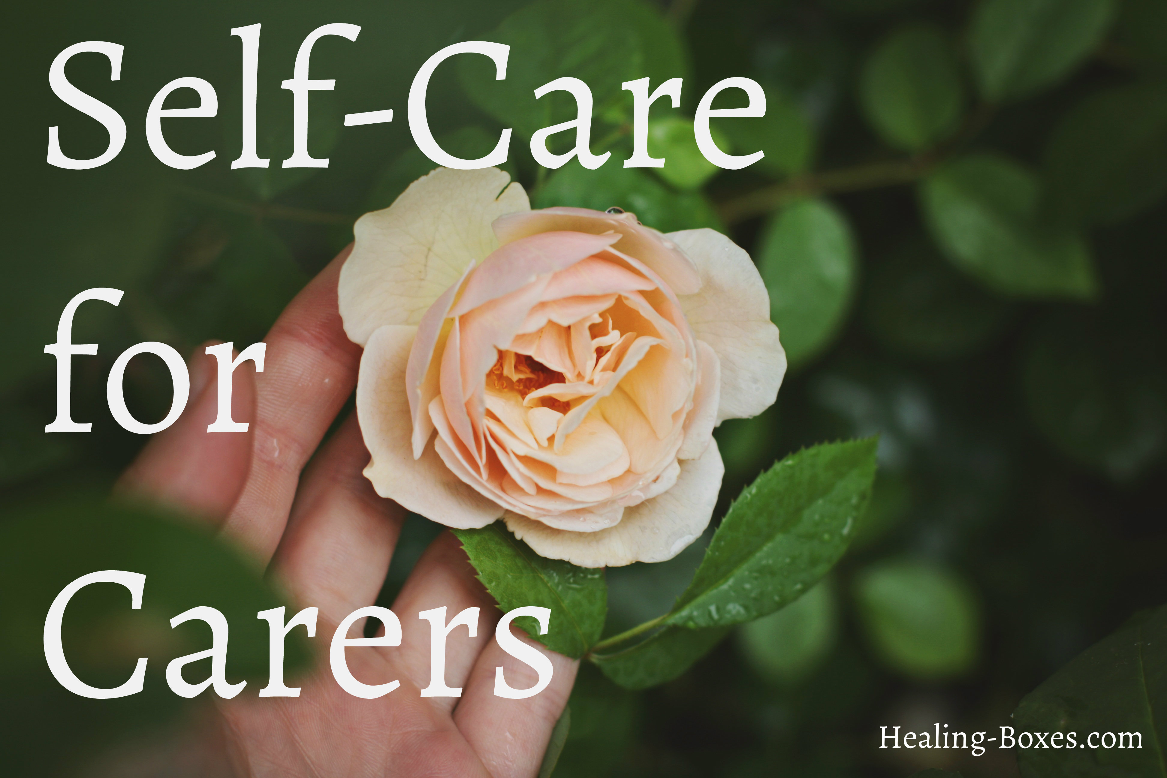 Self Care for Carers white text on image of pink rose held by a hand and green leaves filling rest of image